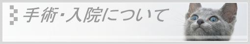 手術・入院について